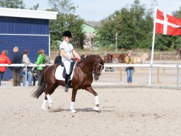 IMG_8103_web